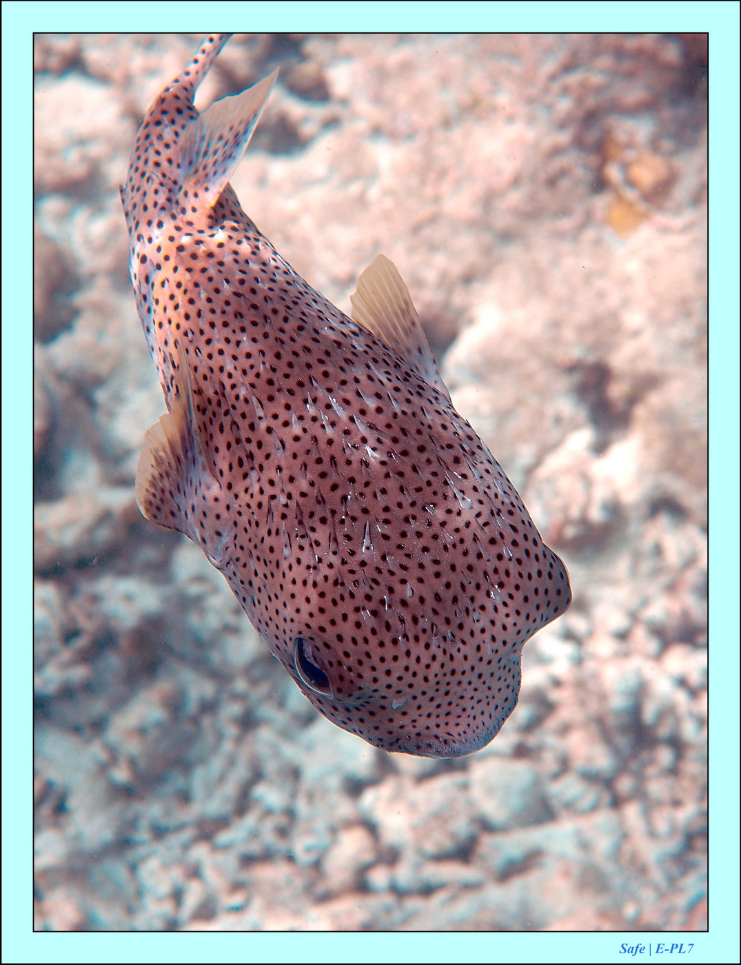 2023 - 07 - Sandies Bathala - 209